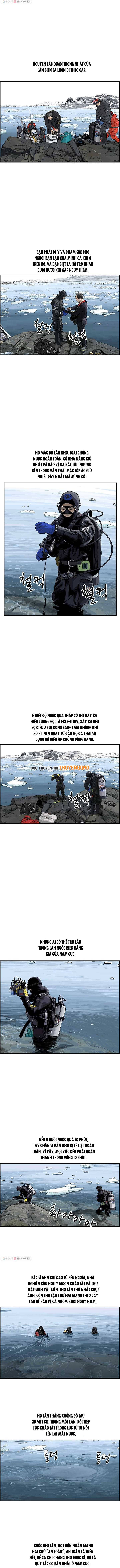 Cá Con (Vảy Cá) - Chương 35