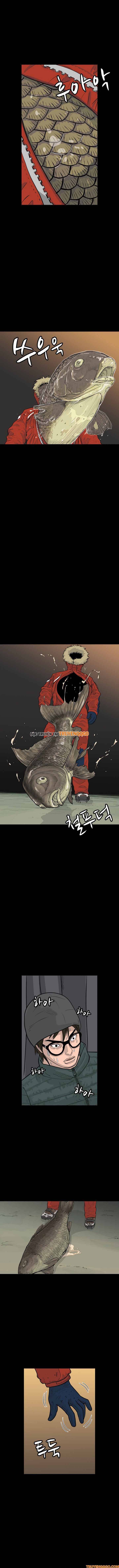 Cá Con (Vảy Cá) - Chương 5