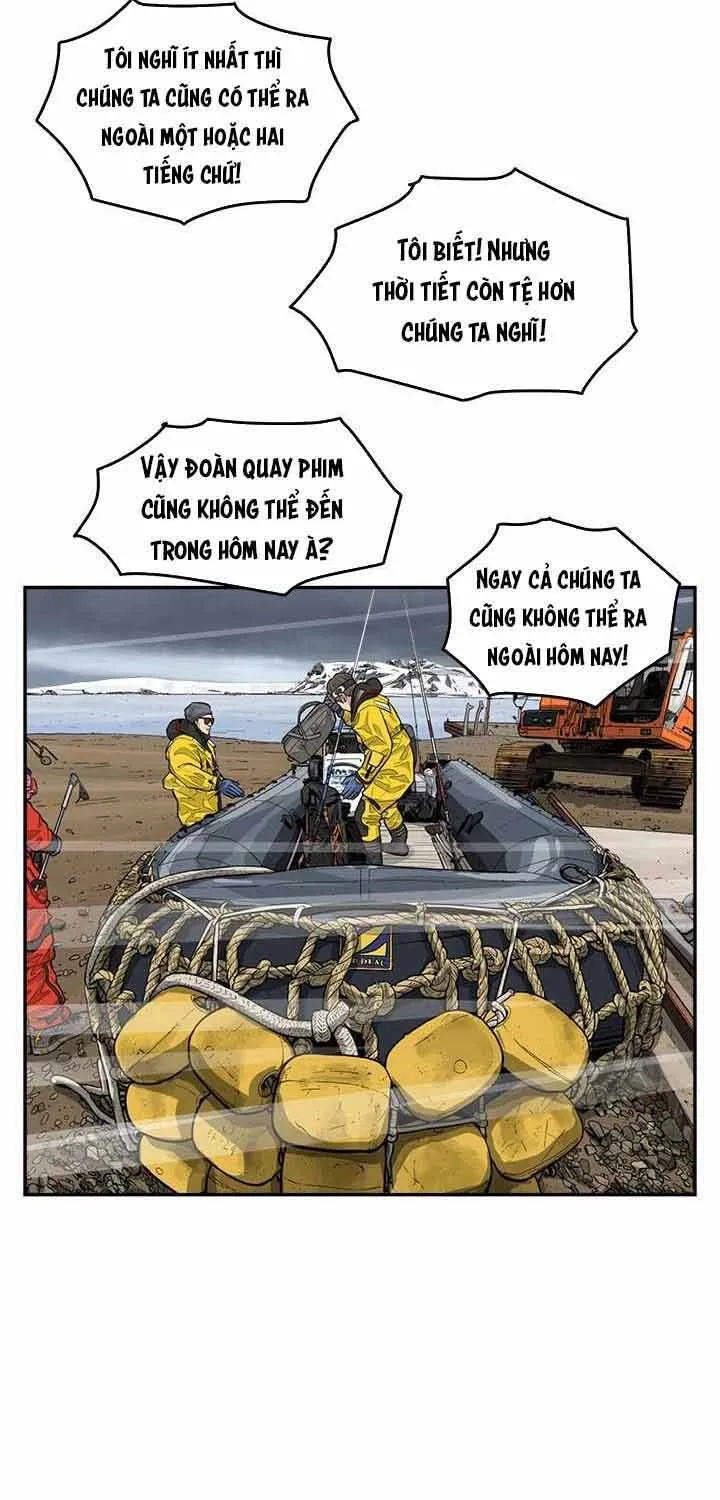 Cá Con (Vảy Cá) - Chương 61