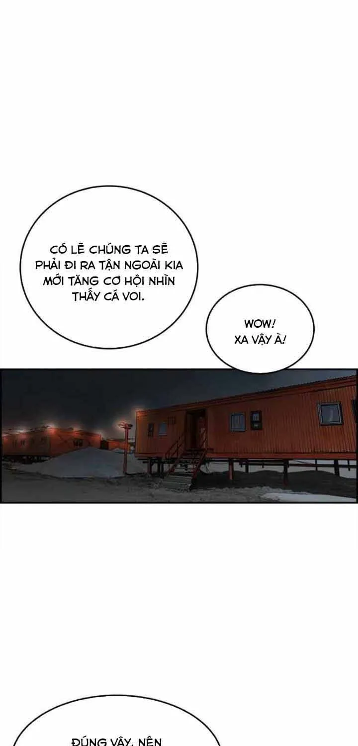 Cá Con (Vảy Cá) - Chương 70
