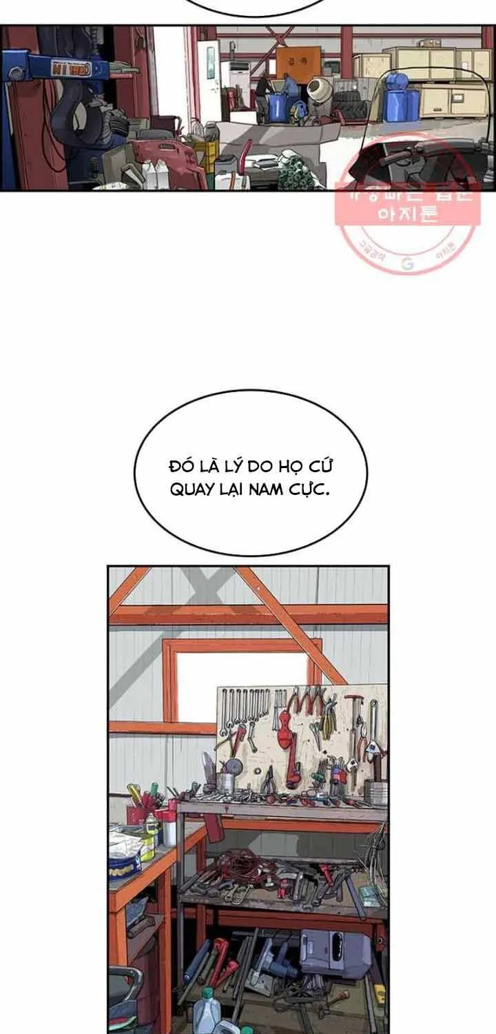 Cá Con (Vảy Cá) - Chương 76
