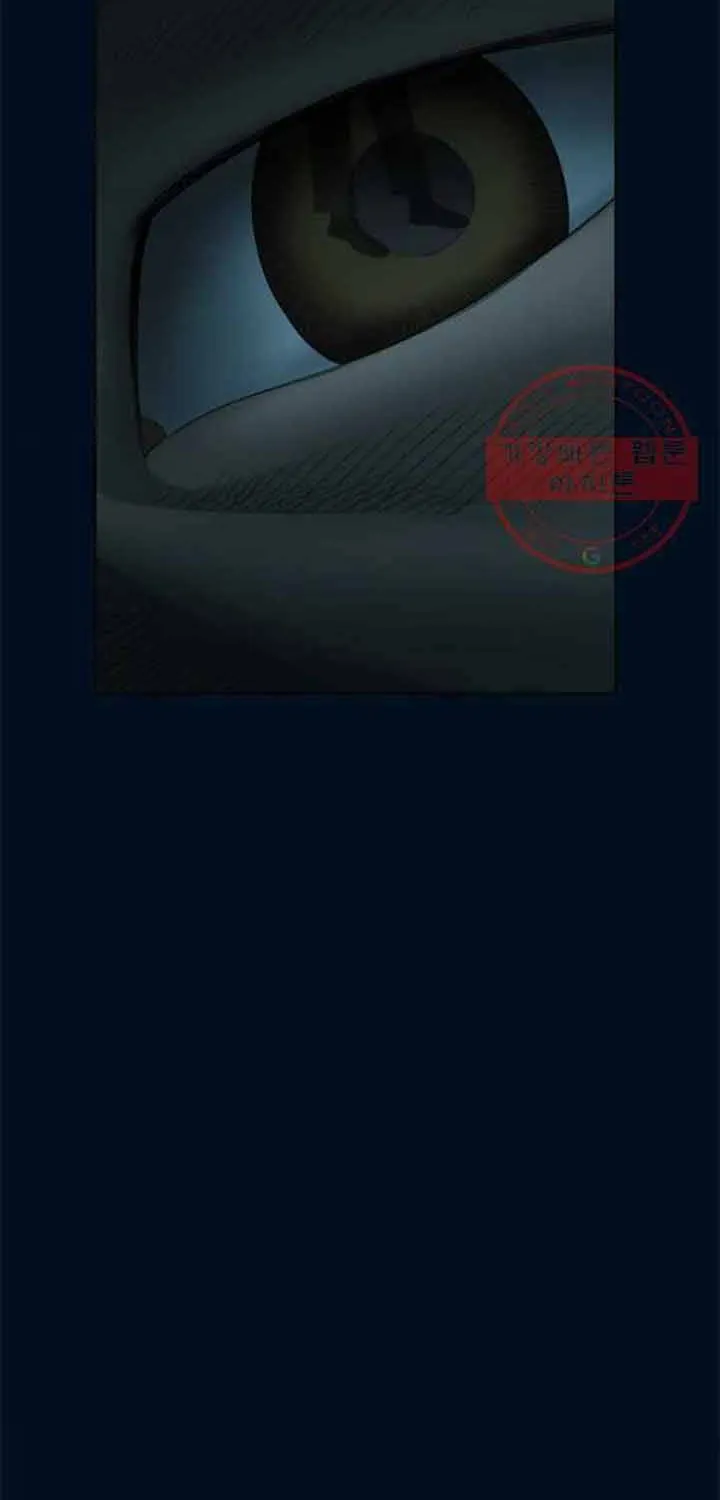 Cá Con (Vảy Cá) - Chương 87