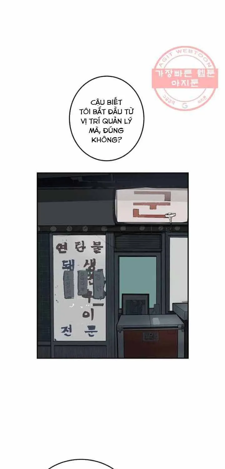 Cá Con (Vảy Cá) - Chương 90