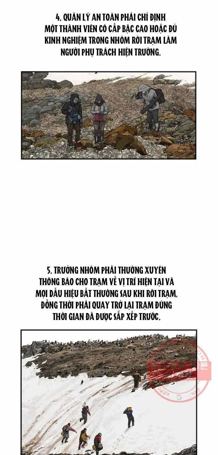 Cá Con (Vảy Cá) - Chương 91