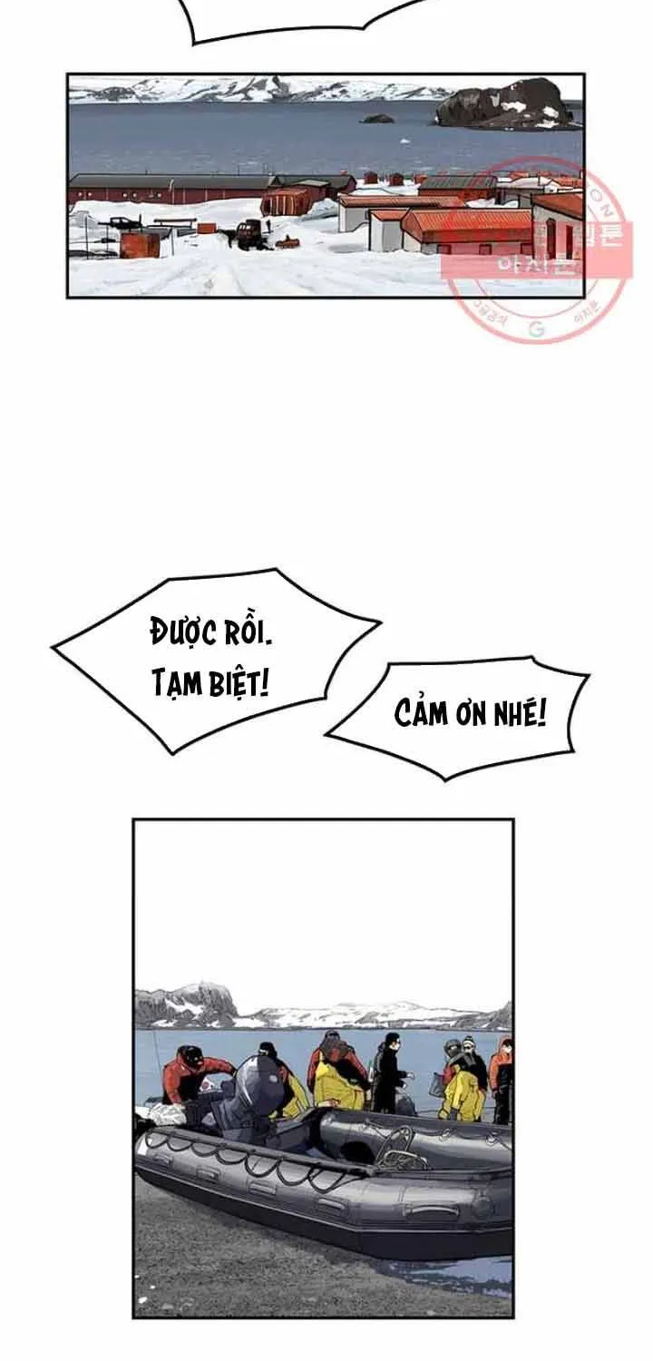 Cá Con (Vảy Cá) - Chương 95