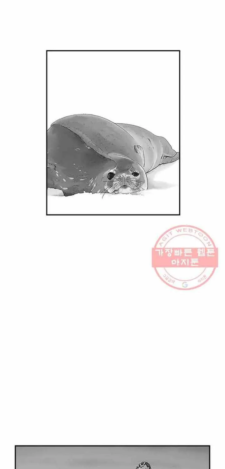 Cá Con (Vảy Cá) - Chương 95