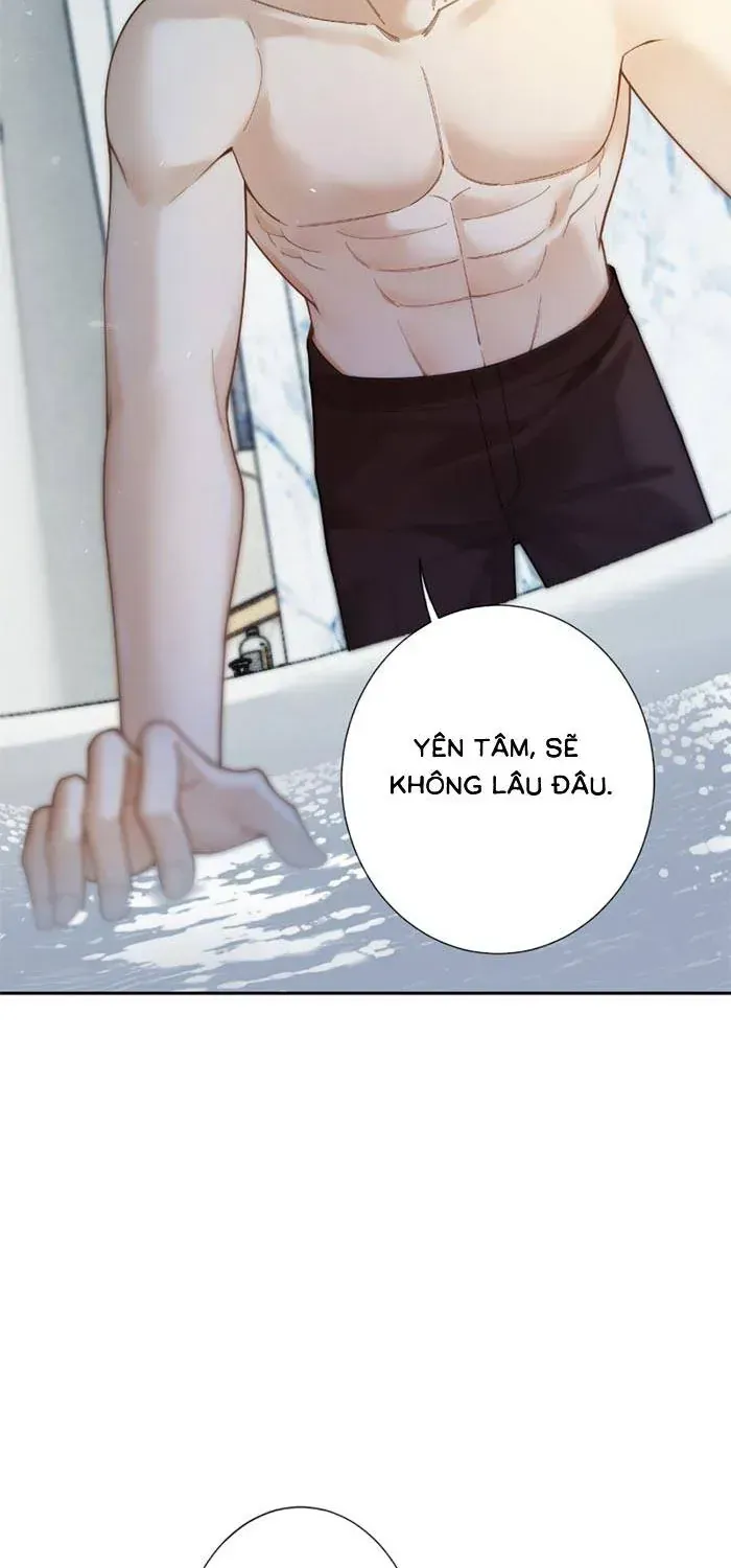 Cám Dỗ - Chương 42