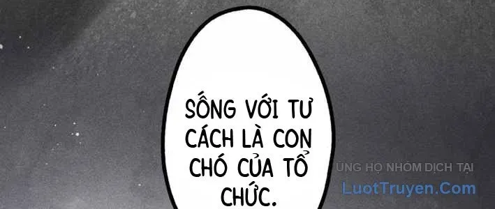 Ceberus - Chương 16