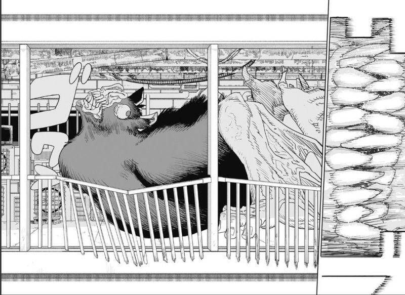 Chainsaw Man Phần 2 - Chương 5