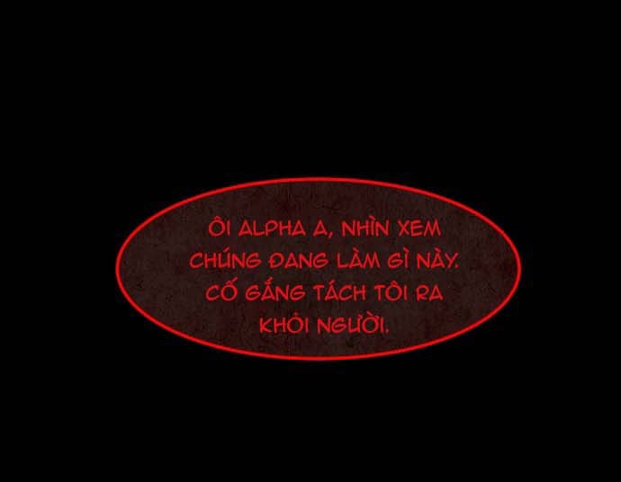 Cột Sống Đỏ - Chương 23