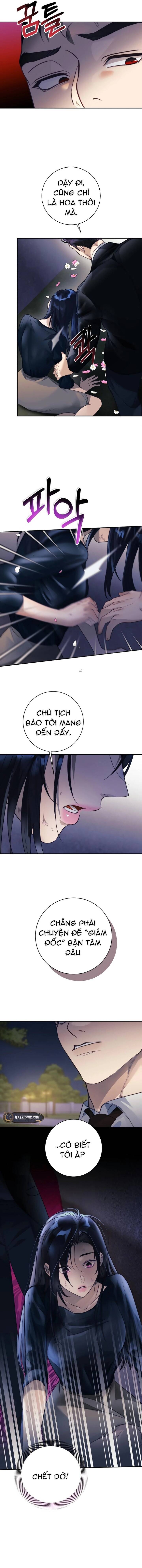Dạ Vãn - Chương 1