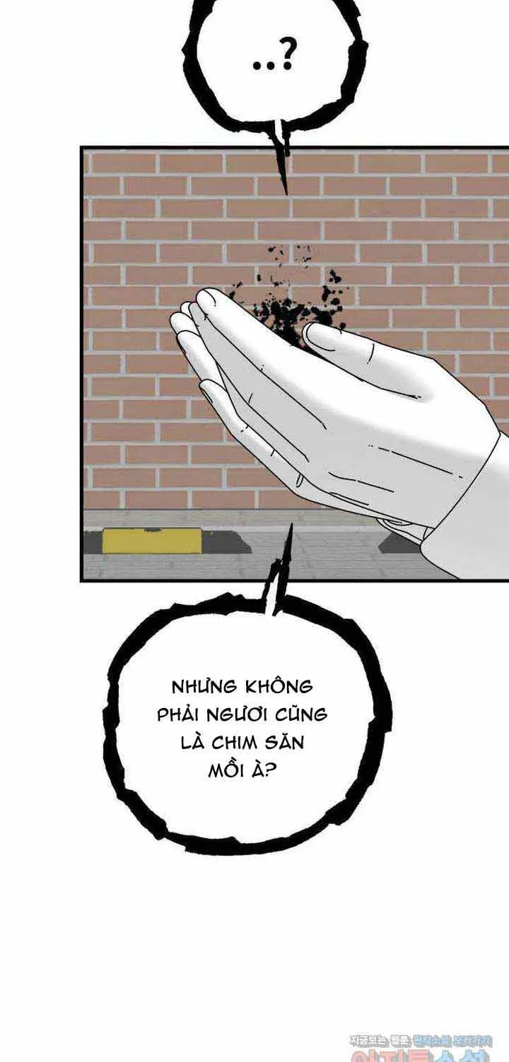 Đôi Mắt - Chương 46