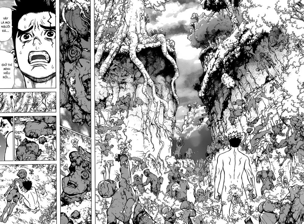 Dr.stone - Chương 1