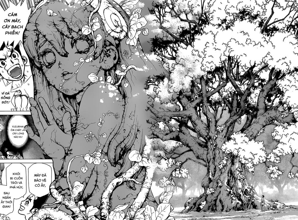 Dr.stone - Chương 1