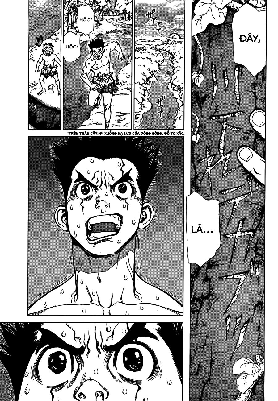 Dr.stone - Chương 1