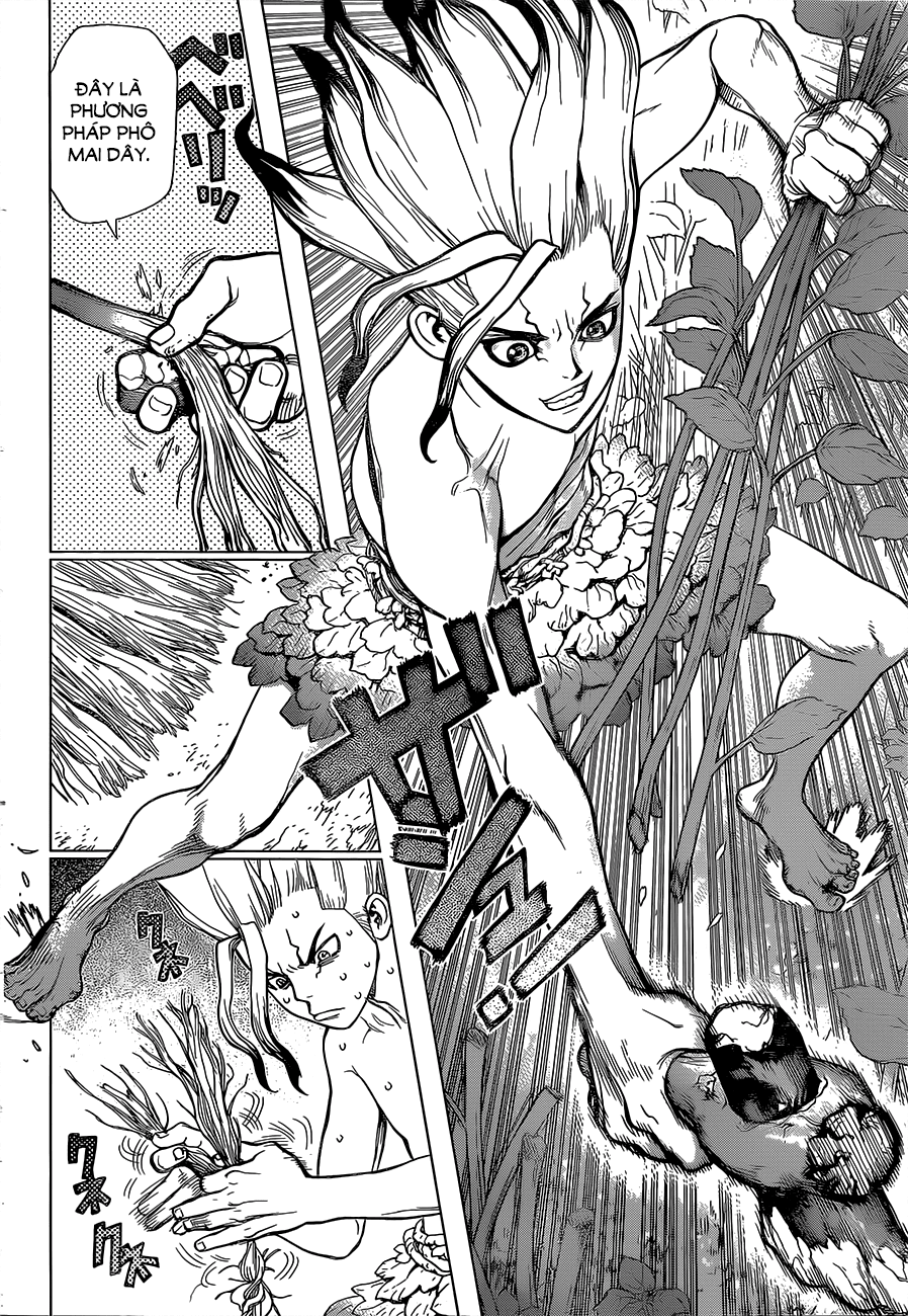 Dr.stone - Chương 13