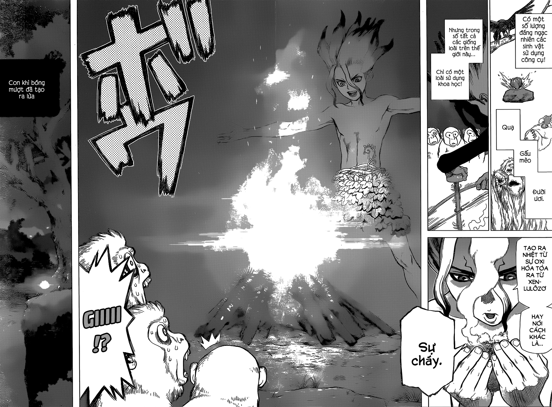 Dr.stone - Chương 13