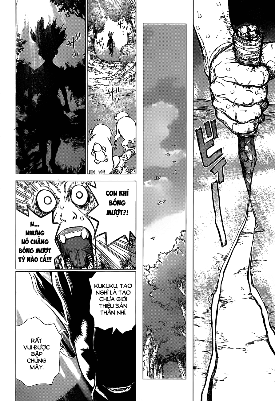 Dr.stone - Chương 13