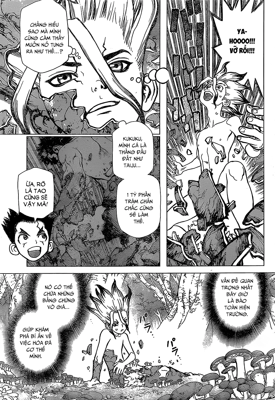 Dr.stone - Chương 13
