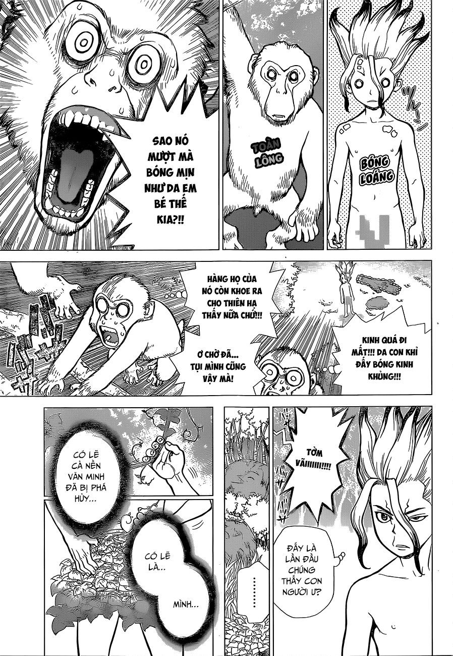 Dr.stone - Chương 13