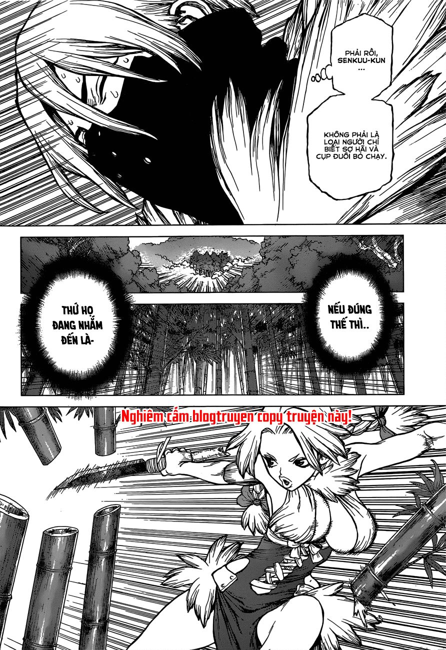 Dr.stone - Chương 132