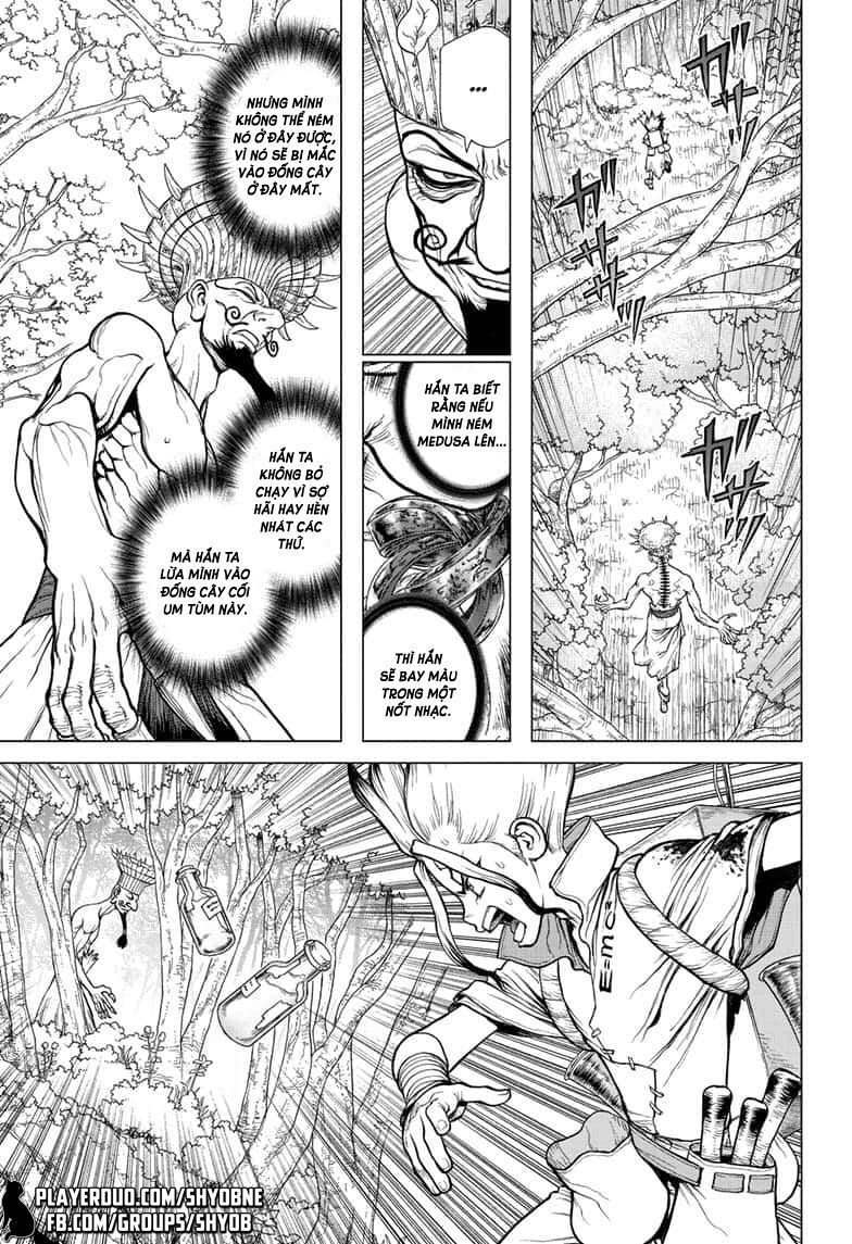 Dr.stone - Chương 136