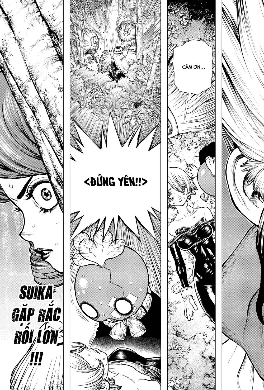 Dr.stone - Chương 185