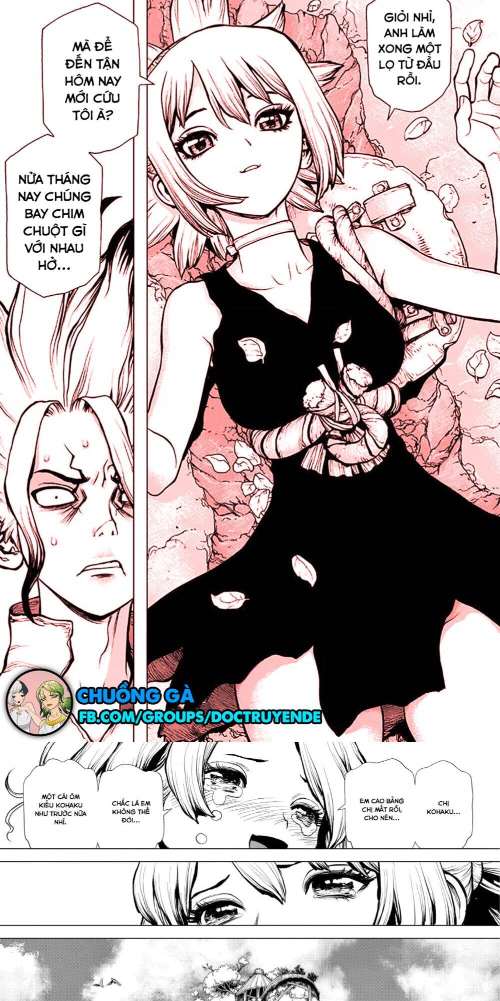 Dr.stone - Chương 197