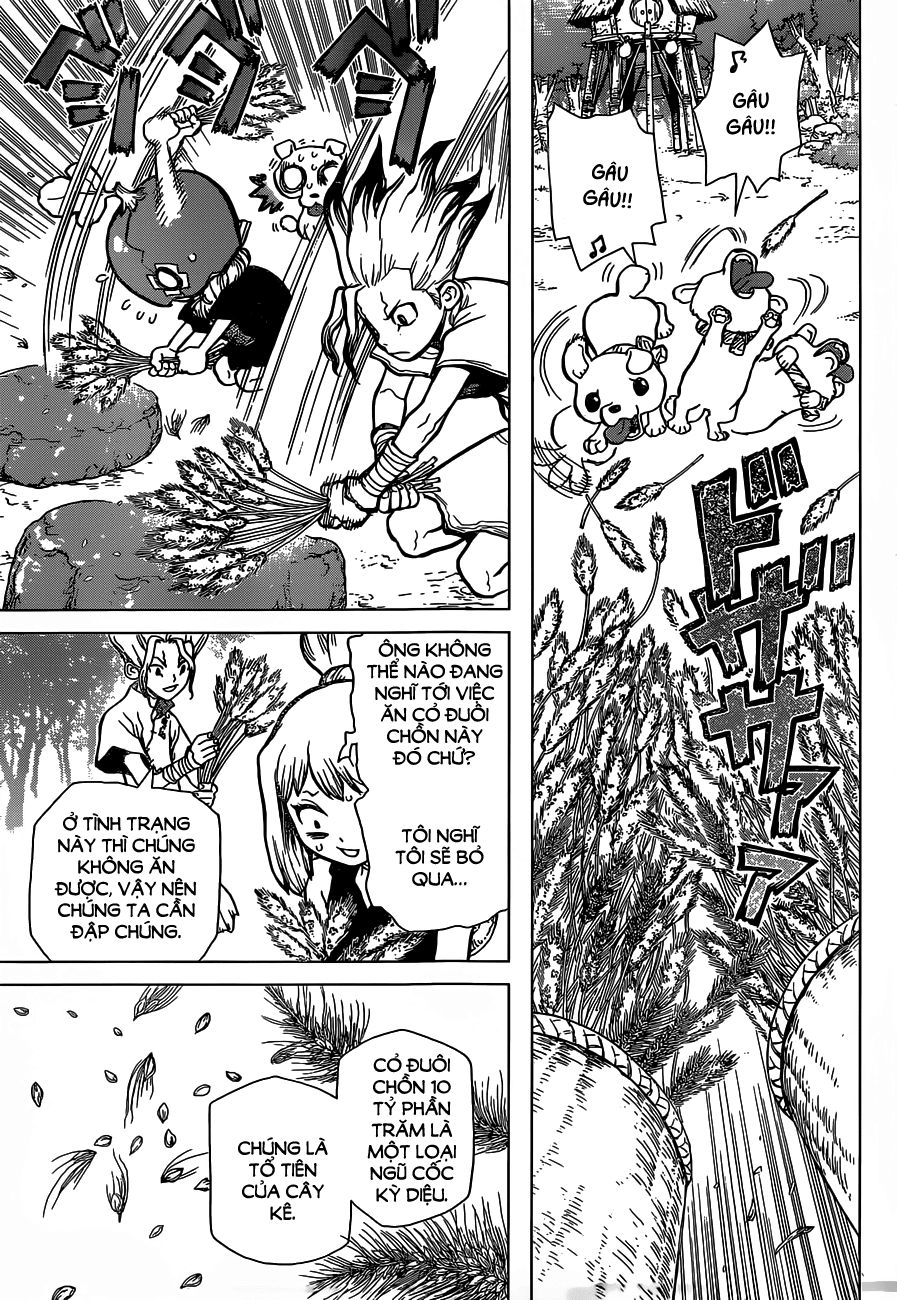 Dr.stone - Chương 22