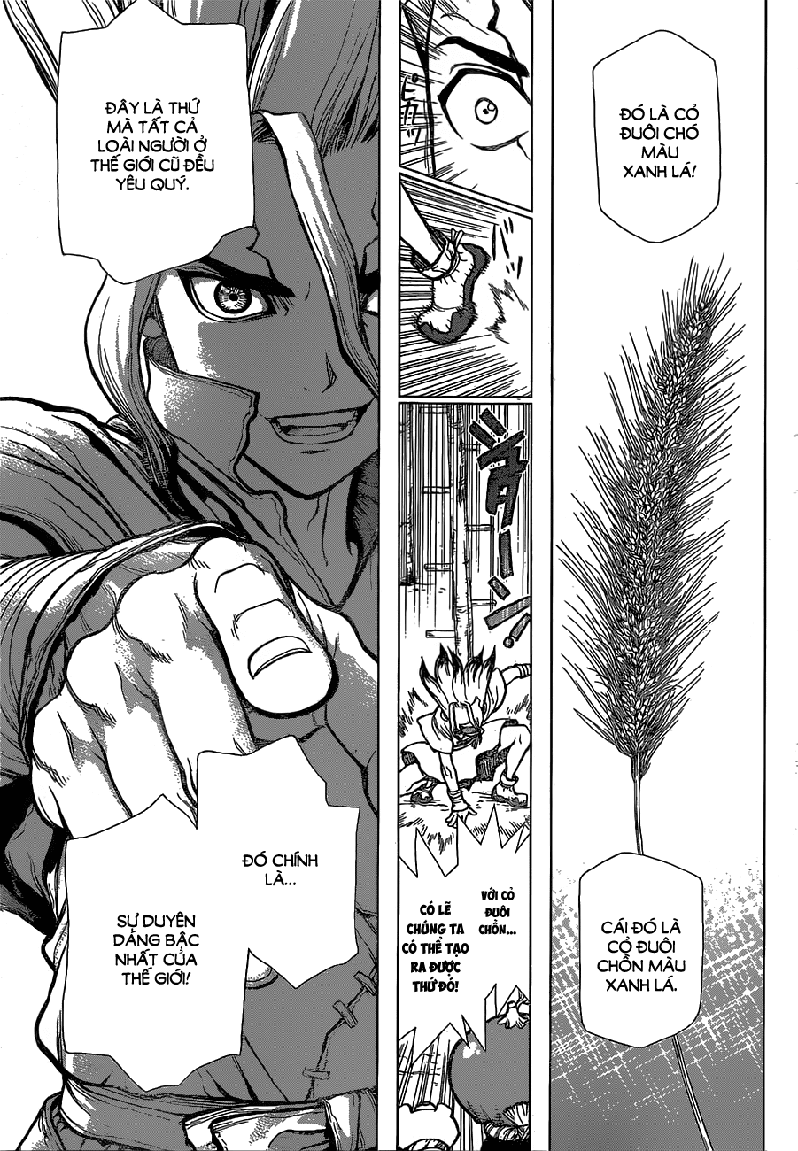 Dr.stone - Chương 22