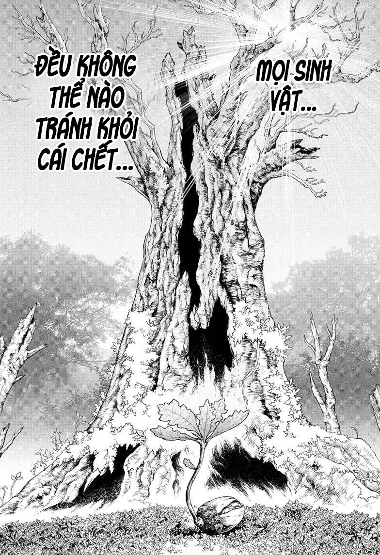 Dr.stone - Chương 230