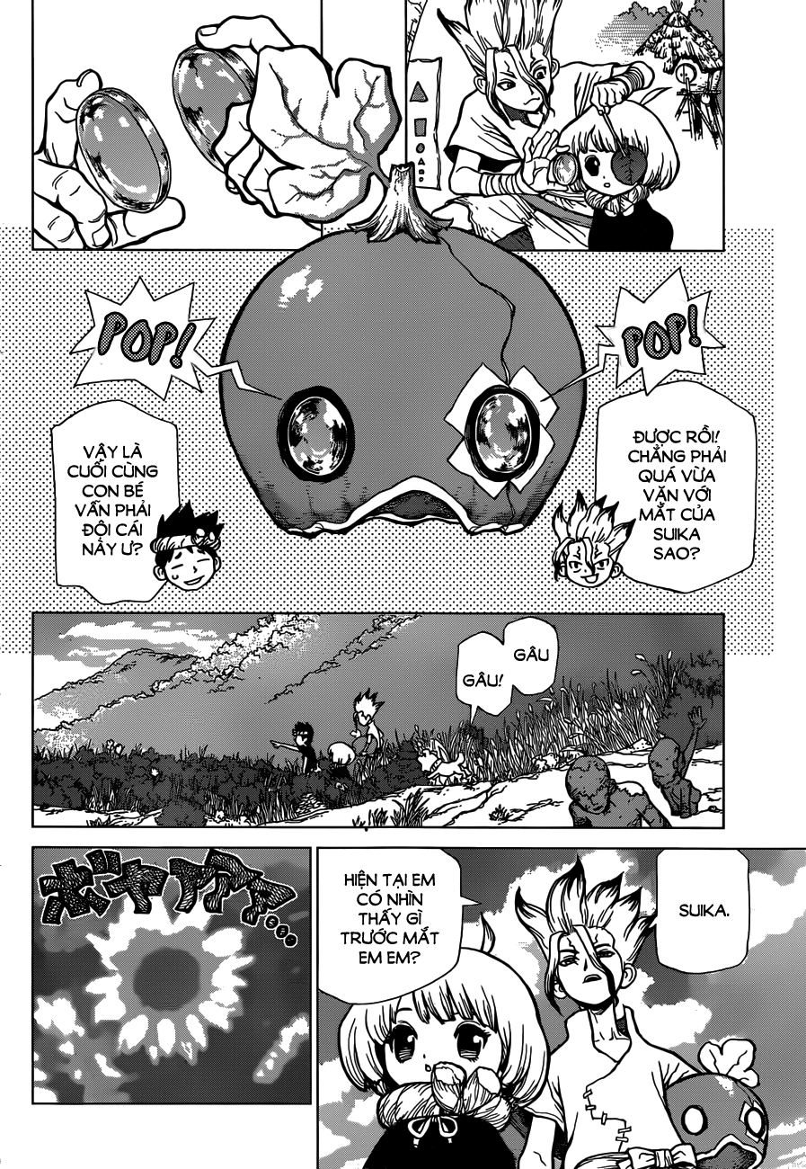 Dr.stone - Chương 28
