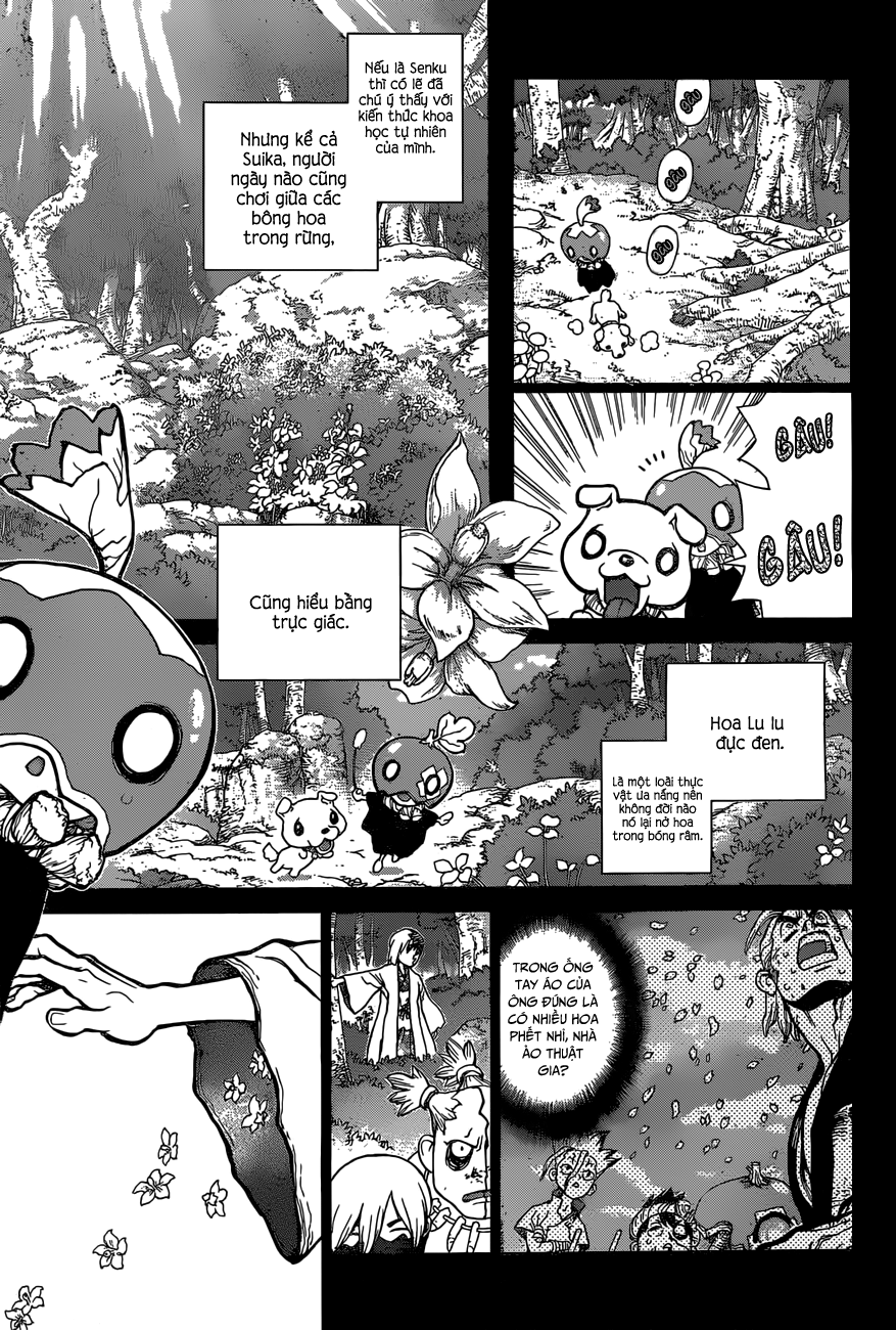 Dr.stone - Chương 48