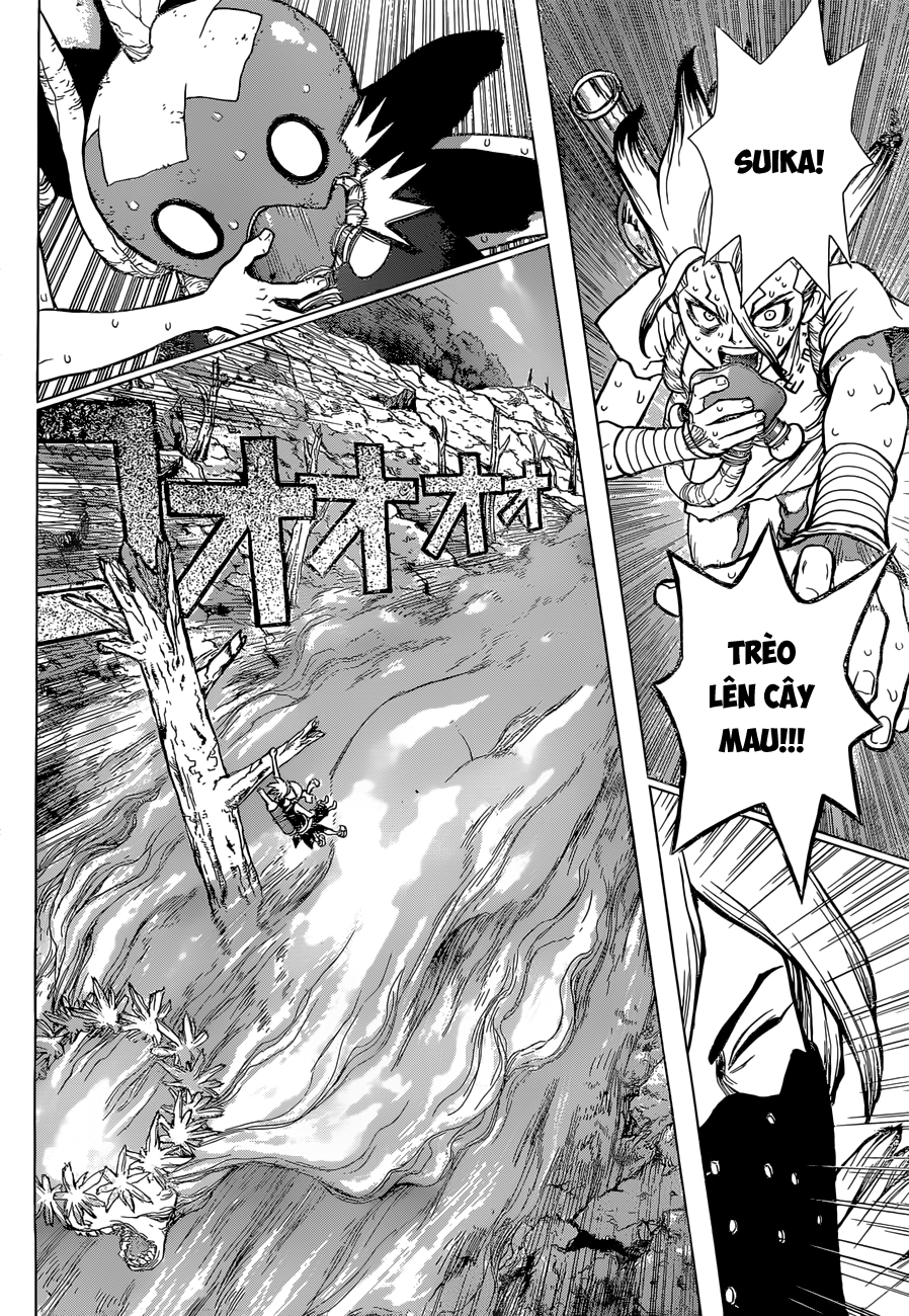 Dr.stone - Chương 49