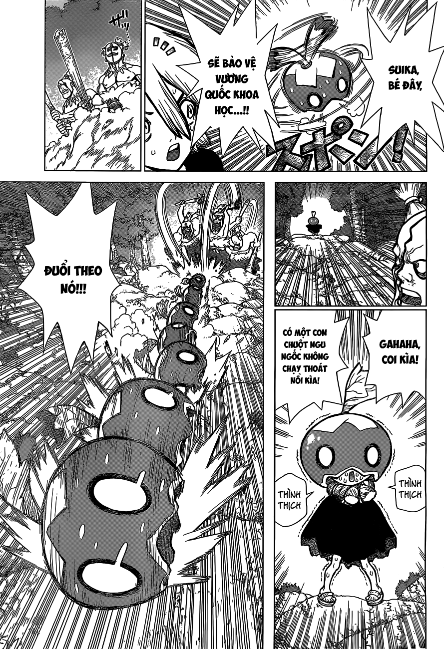 Dr.stone - Chương 49