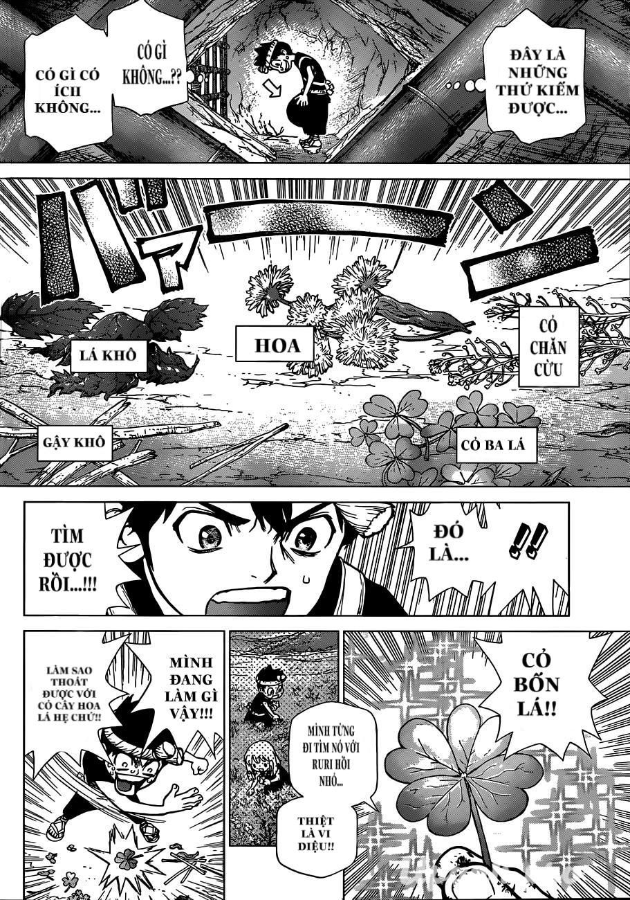 Dr.stone - Chương 71