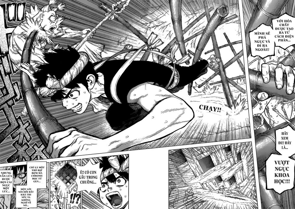 Dr.stone - Chương 72