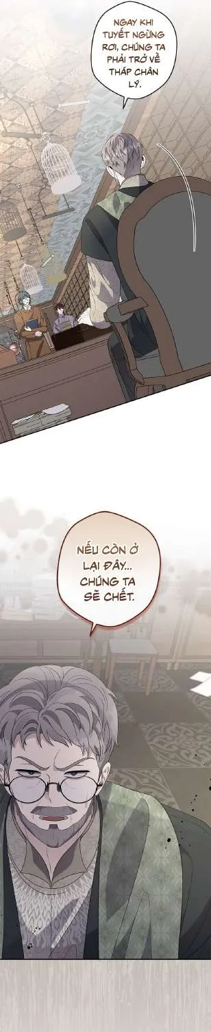 Dụ Hoặc - Chương 37