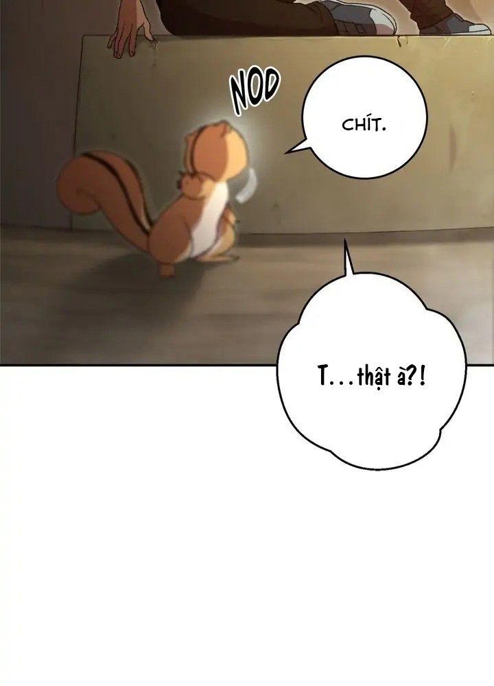 Dungeon Reset - Chương 11