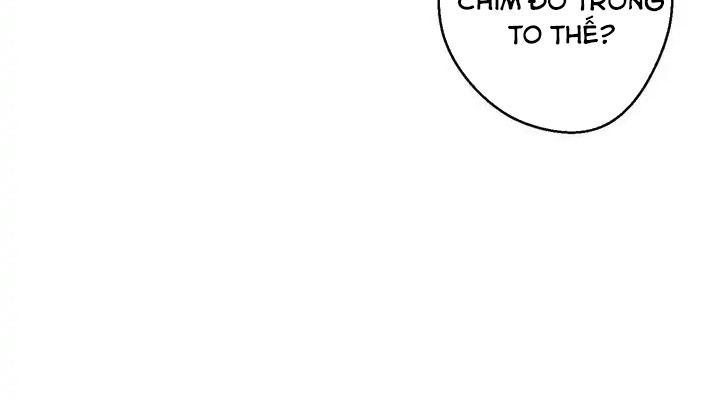 Dungeon Reset - Chương 38