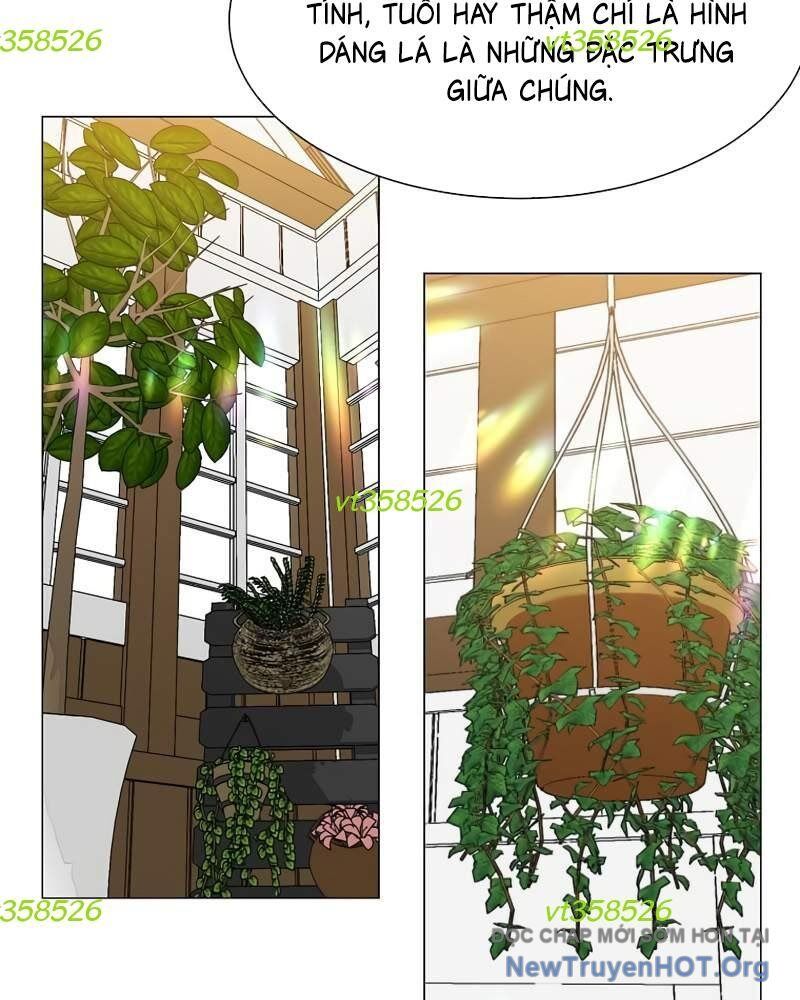 Estio - Chương 62