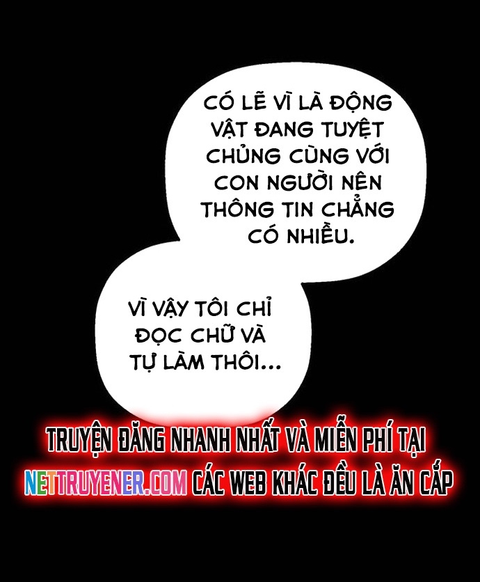 Gặp Mẹ Trong Mơ - Chương 28