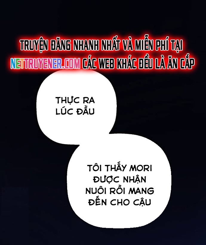 Gặp Mẹ Trong Mơ - Chương 28