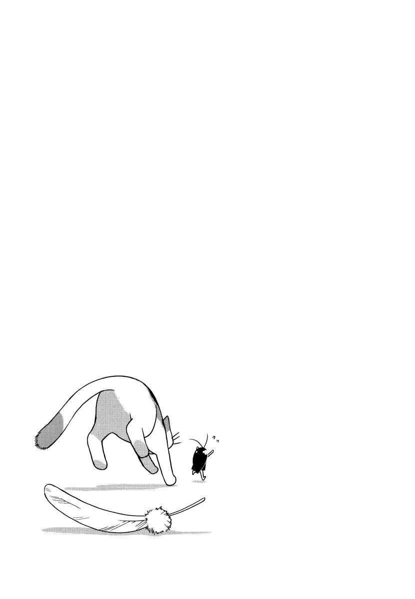 Gokicha!! - Chương 11