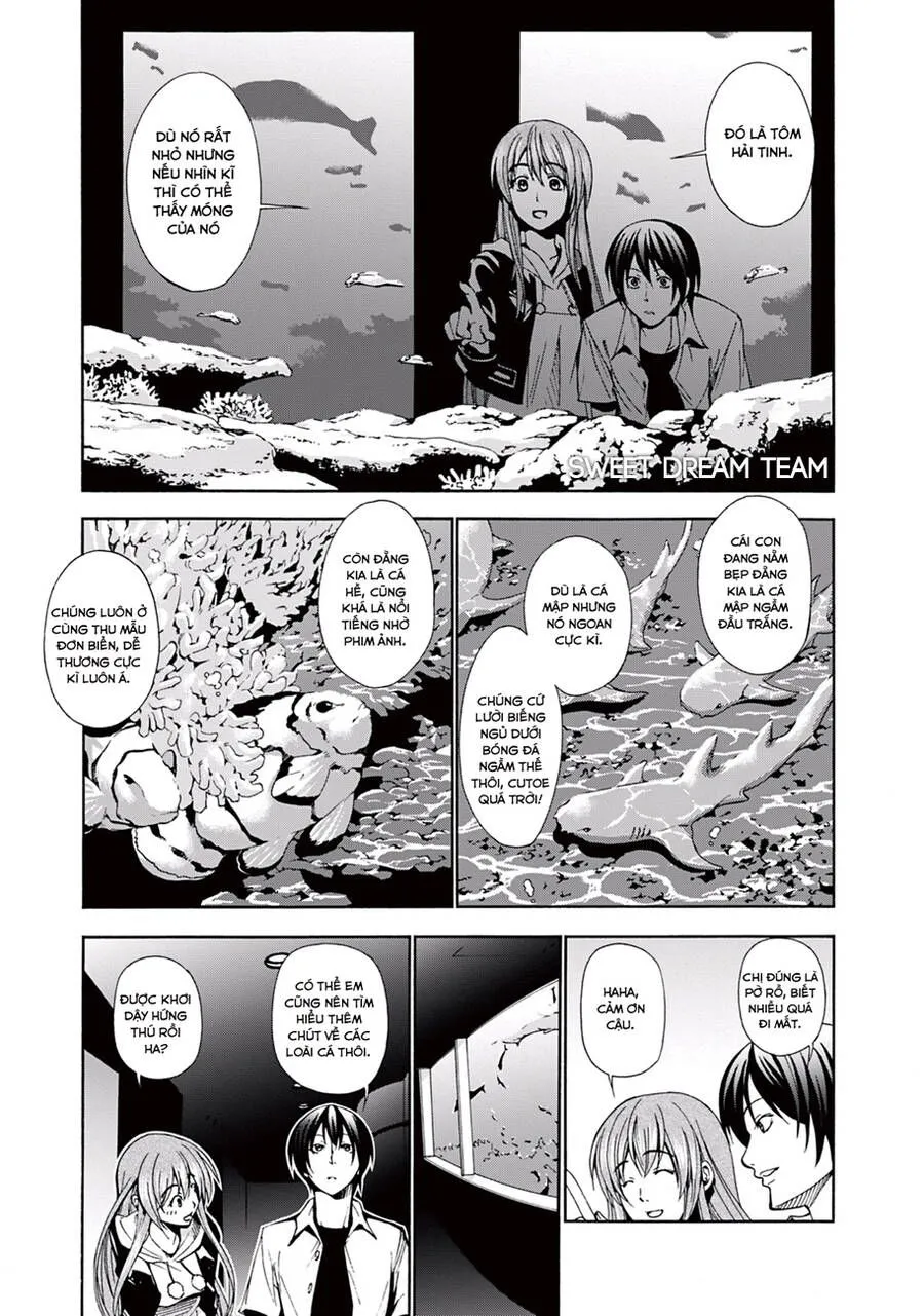 Grand Blue - Chương 4