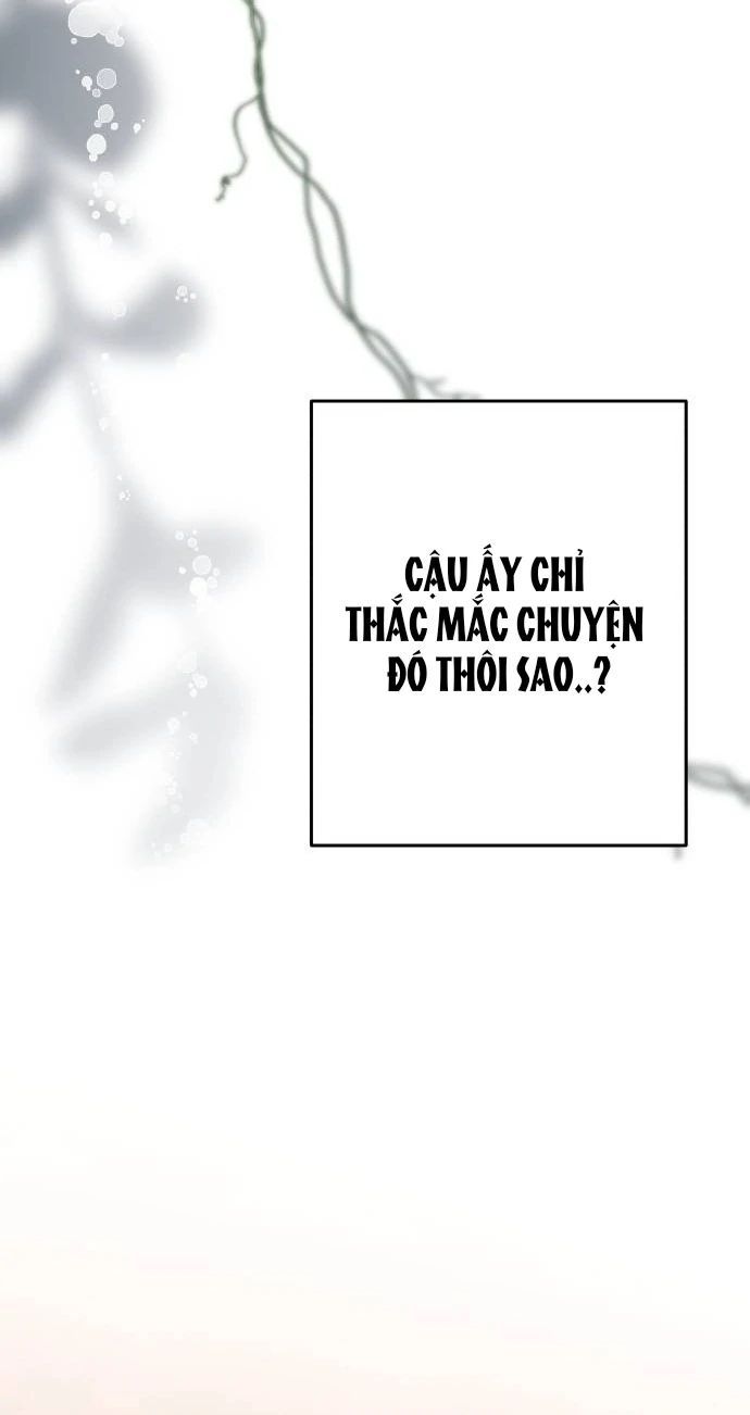 Guild Idol - Chương 16