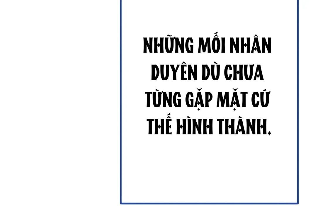 Guild Idol - Chương 29