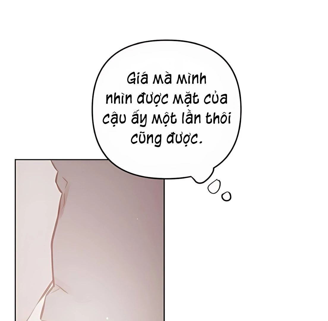 Guild Idol - Chương 31