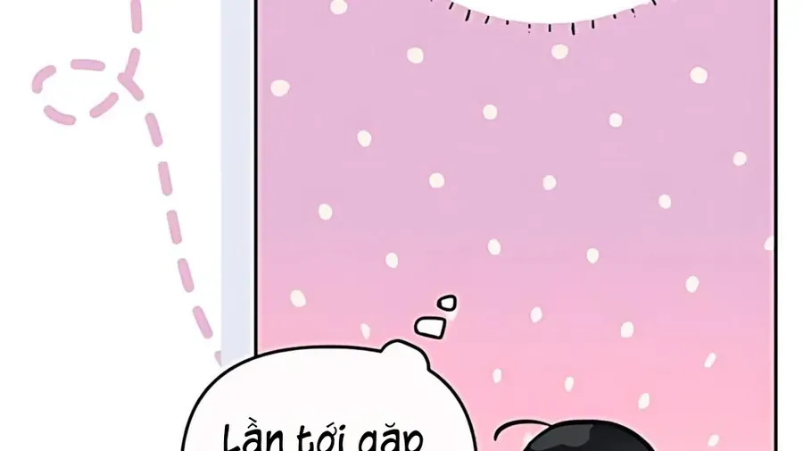 Guild Idol - Chương 41