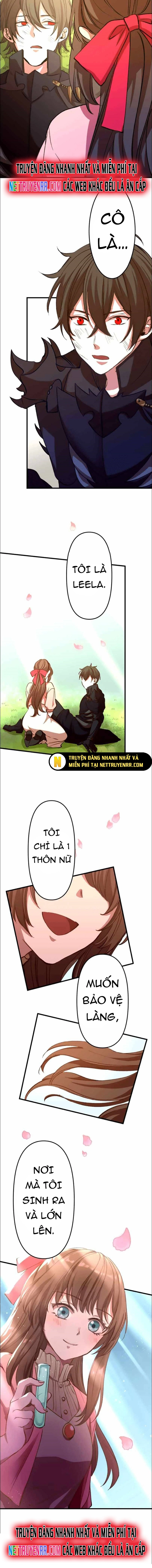 Hấp Thụ Cấp Độ - Chương 13